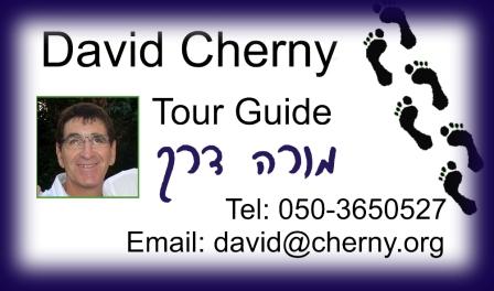 מגנט 5*9