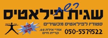 מגנט 10*15